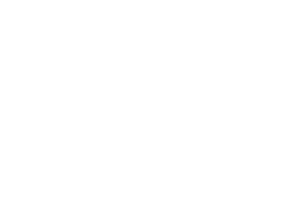 Fusion Paths logo in white